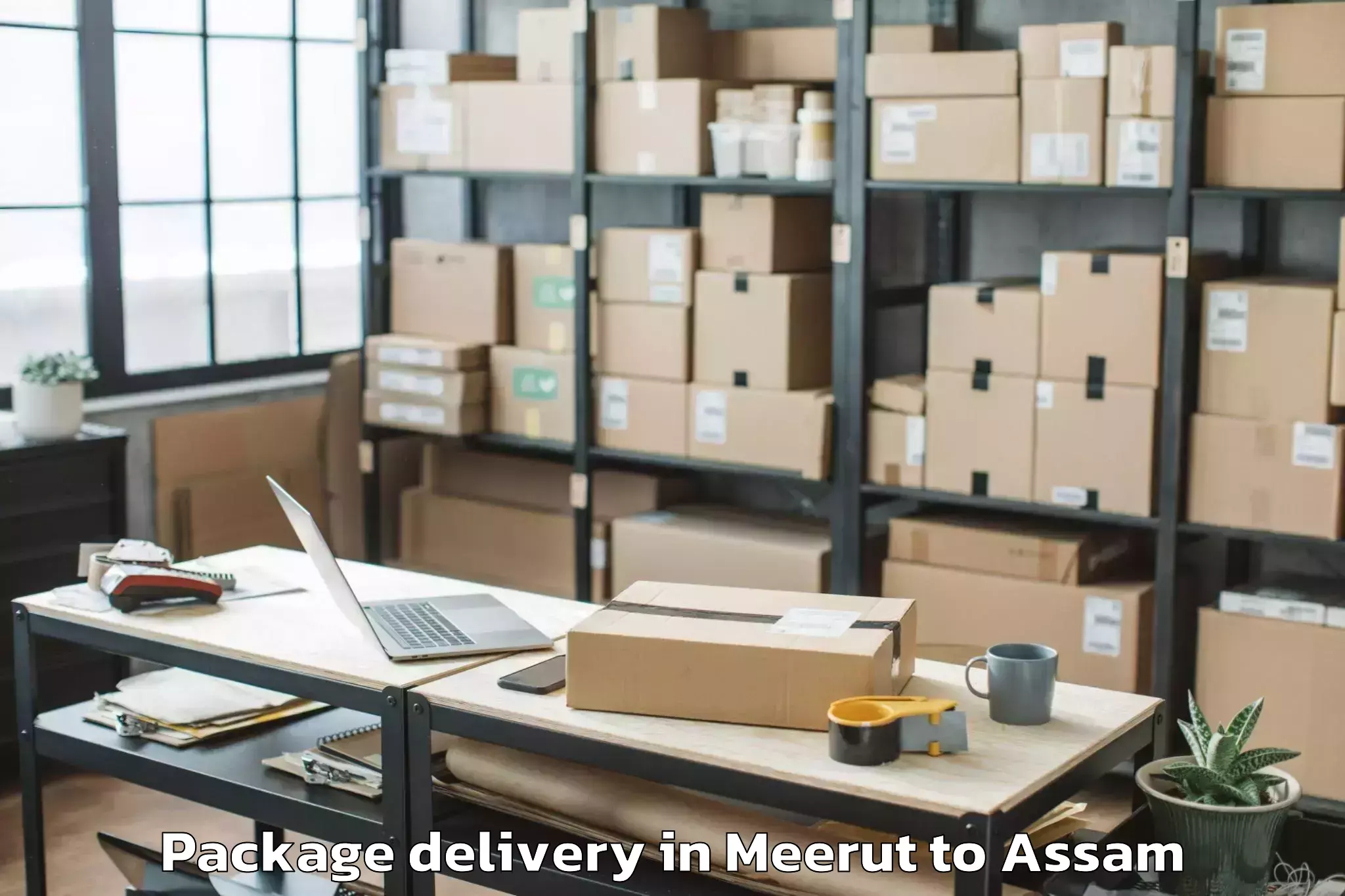 Hassle-Free Meerut to Gohpur Package Delivery